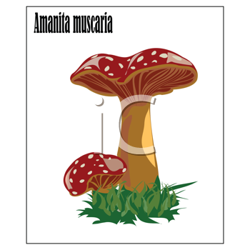 Nature and Scenic Clipart